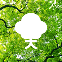 EBEL Forest is Born